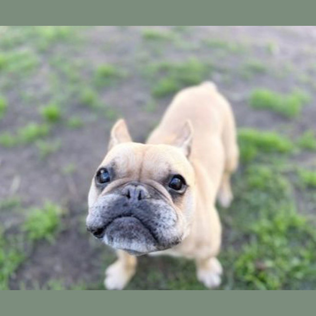 Photo of Melvin