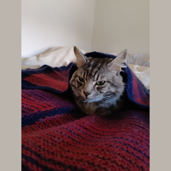 Photo of Gideon