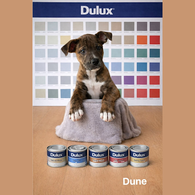 Photo of Dune