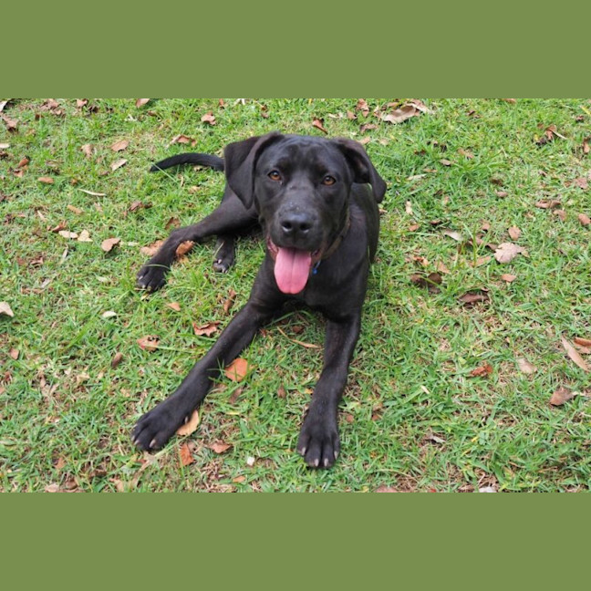 Photo of Lilly Now Rhuma