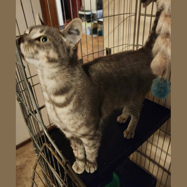 Photo of Lilu 