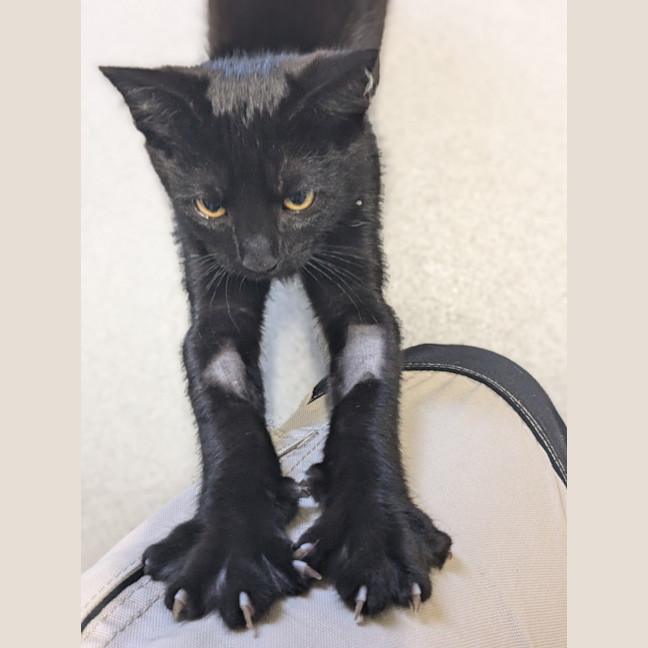 Photo of 🍳 Scramble 5731 🍳