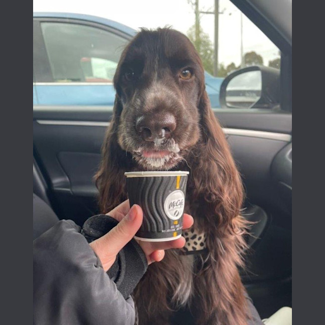 Photo of Khai Illingworth