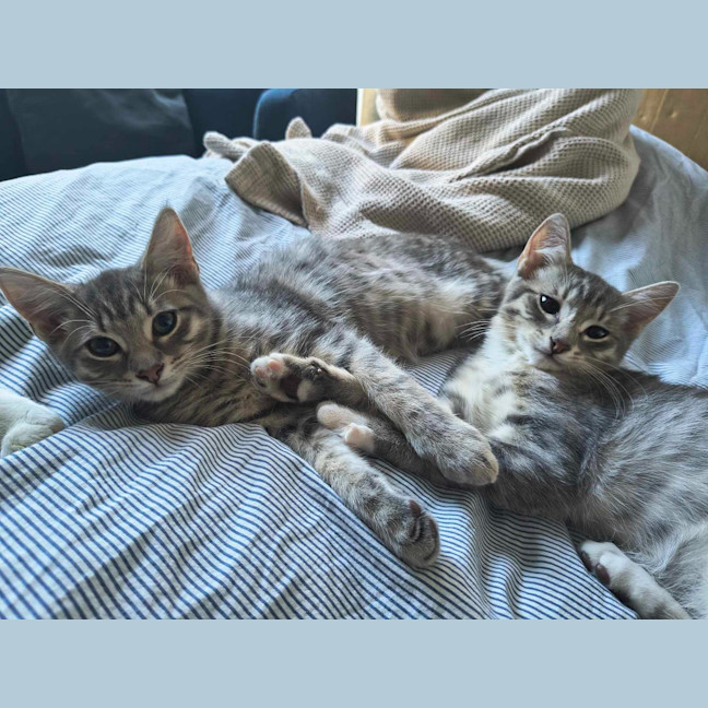 Photo of Bruno / Fruit Loop