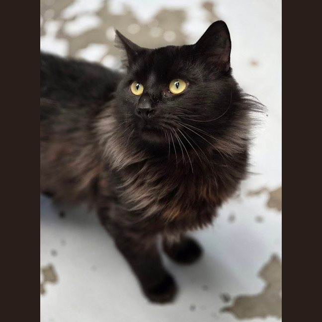 Photo of Teddy