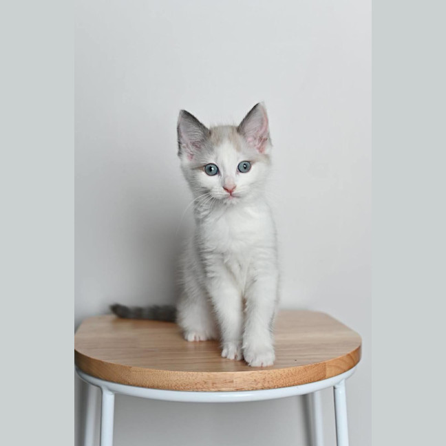 Photo of Lexi