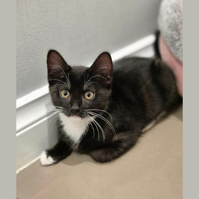 Photo of Sprout