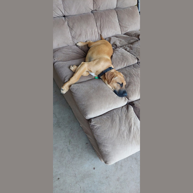 Photo of Winnie