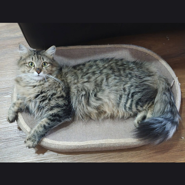 Photo of Willa