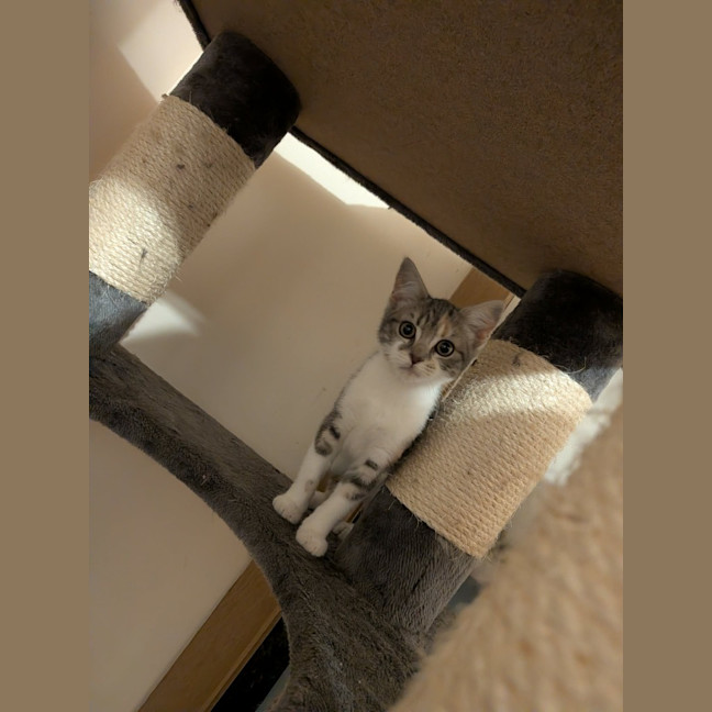 Photo of Mae