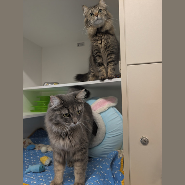 Photo of Bonny & Clyde