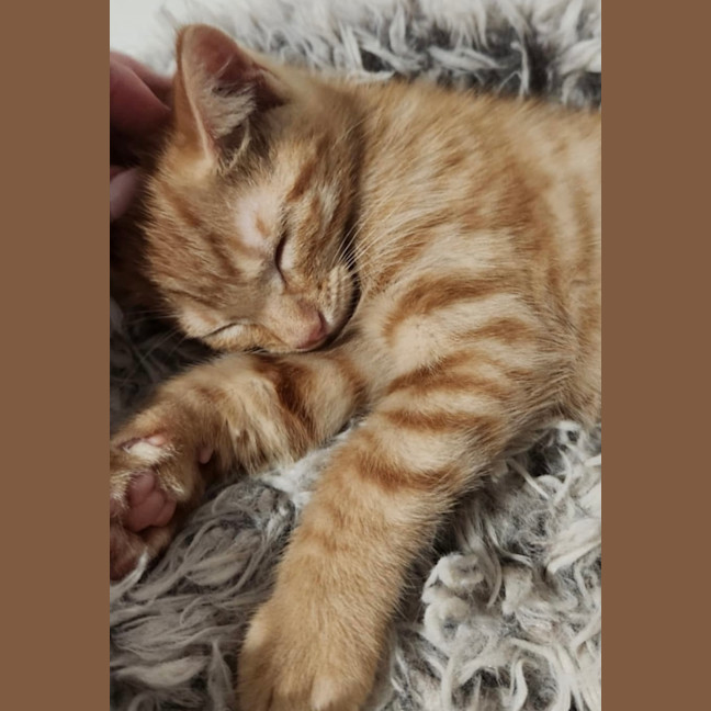 Photo of Miss Garfield 