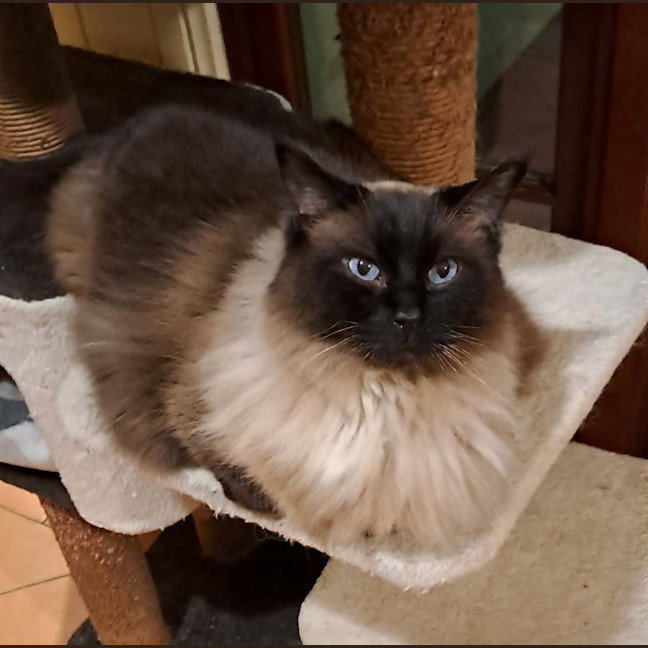 Photo of Hamish 