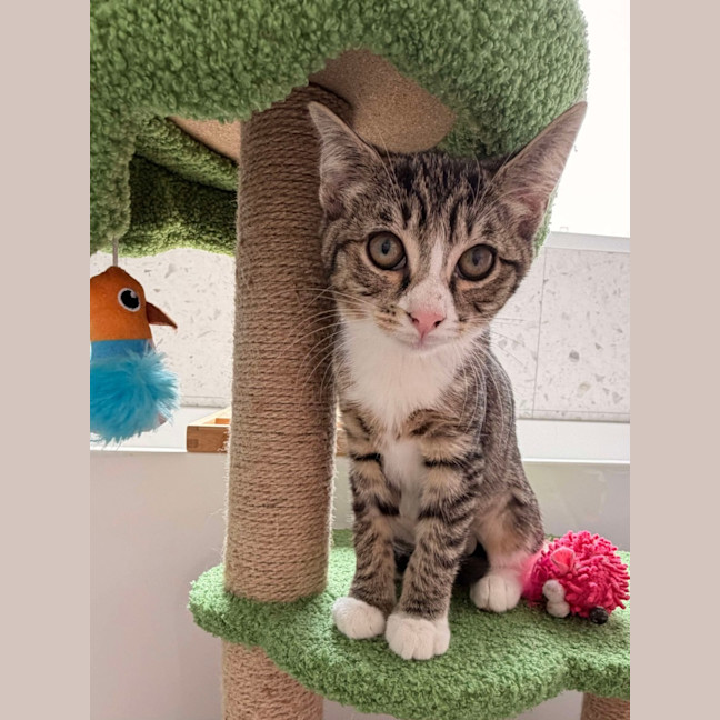 Photo of Gary & Harriet 