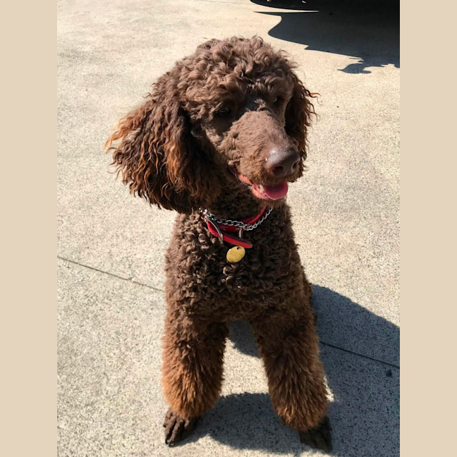 Photo of Xander