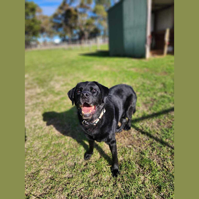 Photo of 🧀 Hugo 6240 🧀