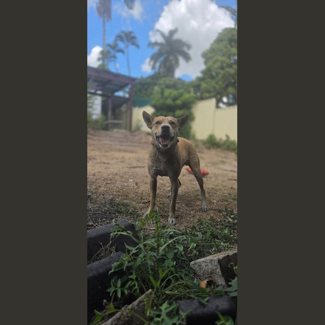 Photo of Thor
