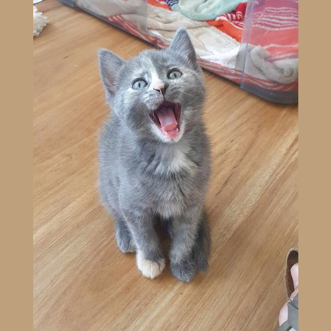 Photo of Buttons   Lcated In Somerville