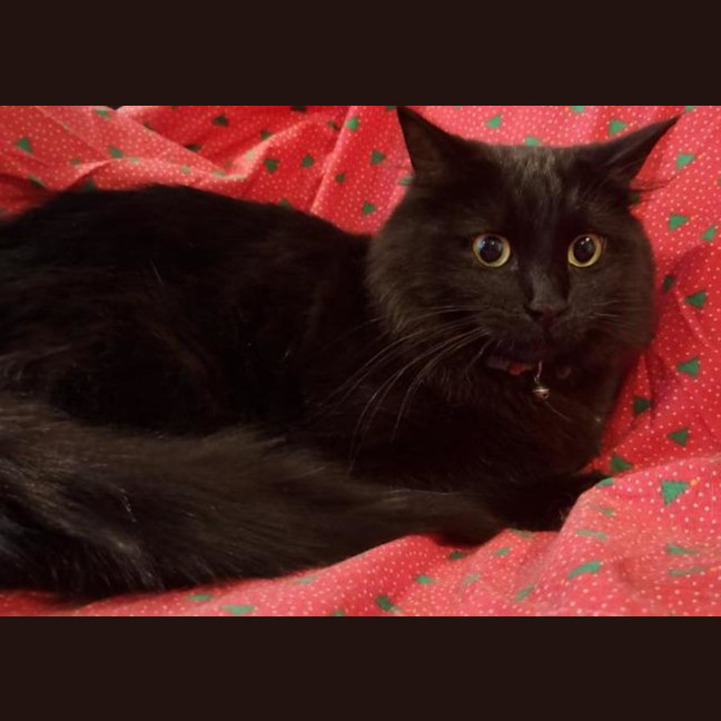 Photo of Turbo