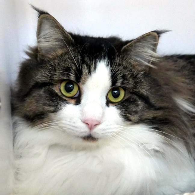 Photo of Winston Sta014108