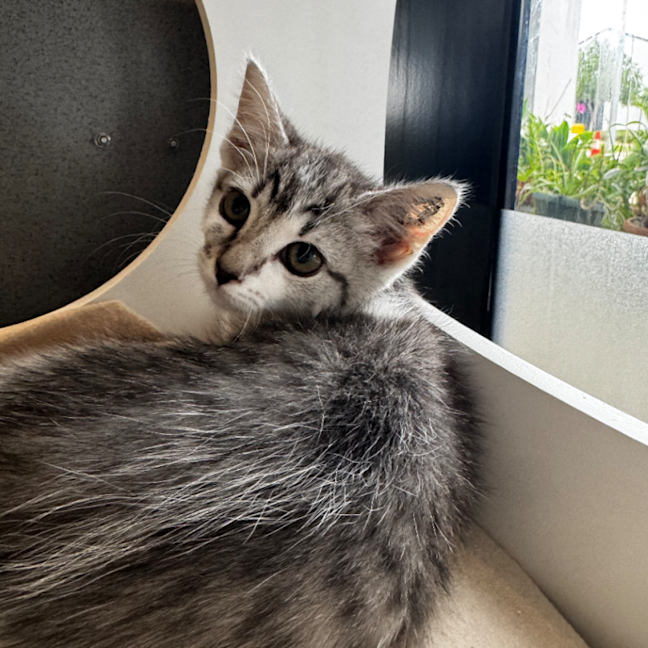 Photo of Arwen