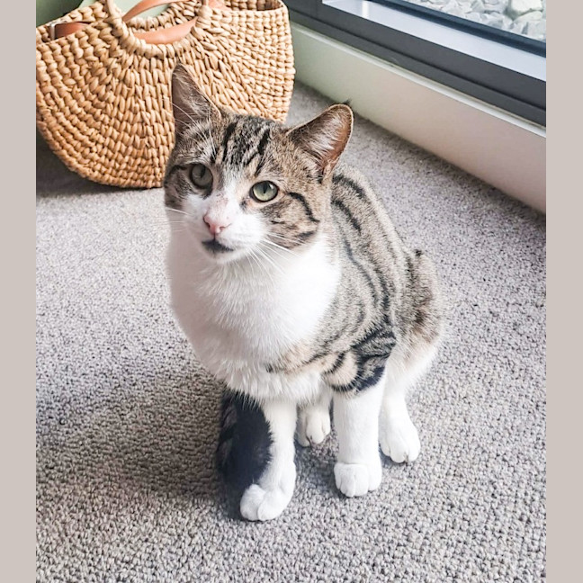 Photo of Billy