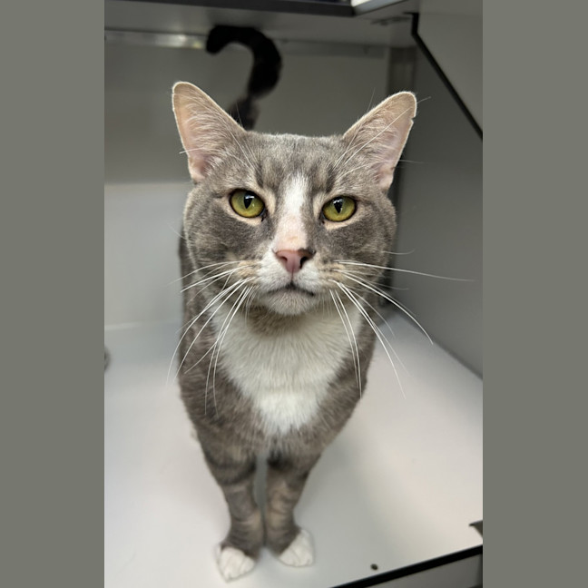 Photo of The Mayor Of Whoville