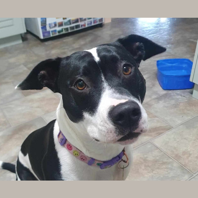 Photo of Maggie Junee