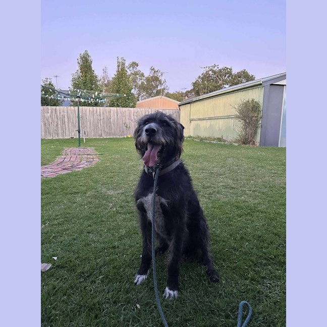 Photo of Ghost