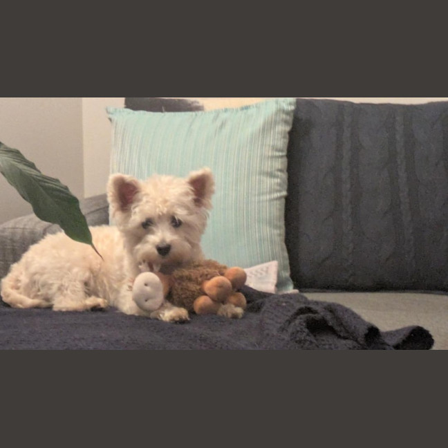 Photo of Lily Peggotty