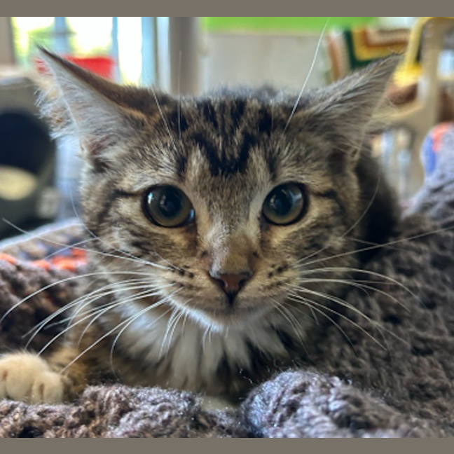 Photo of Gertrude