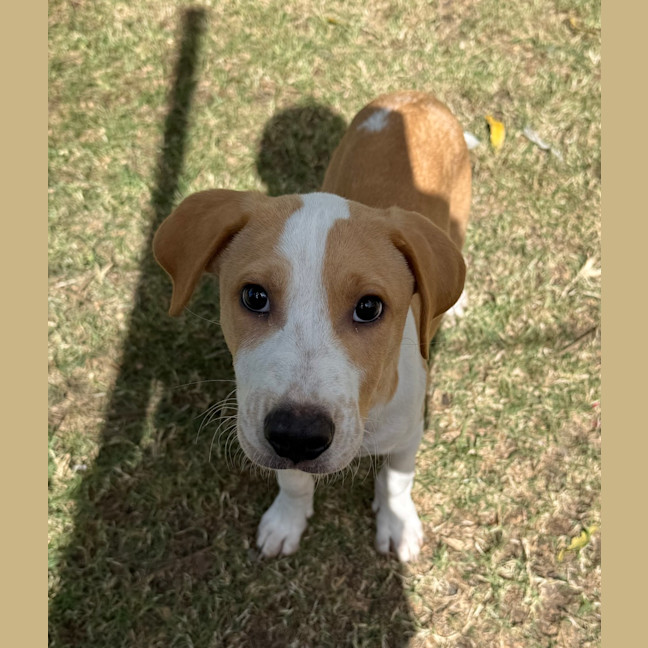 Photo of Spud