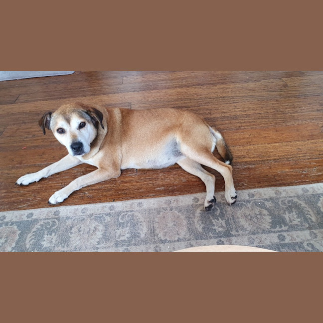 Photo of Lucy