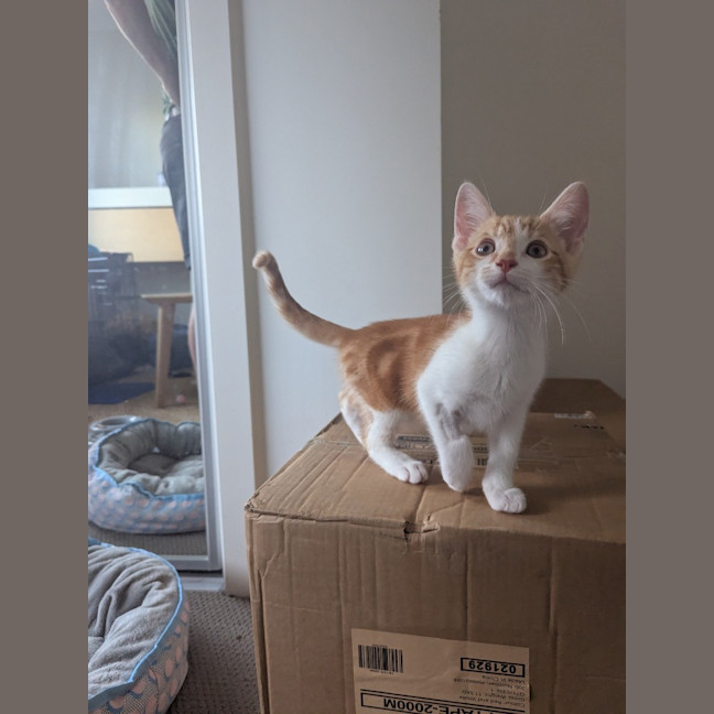 Photo of Stanley Golden