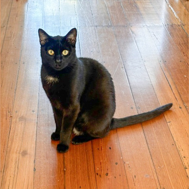 Photo of Chloe
