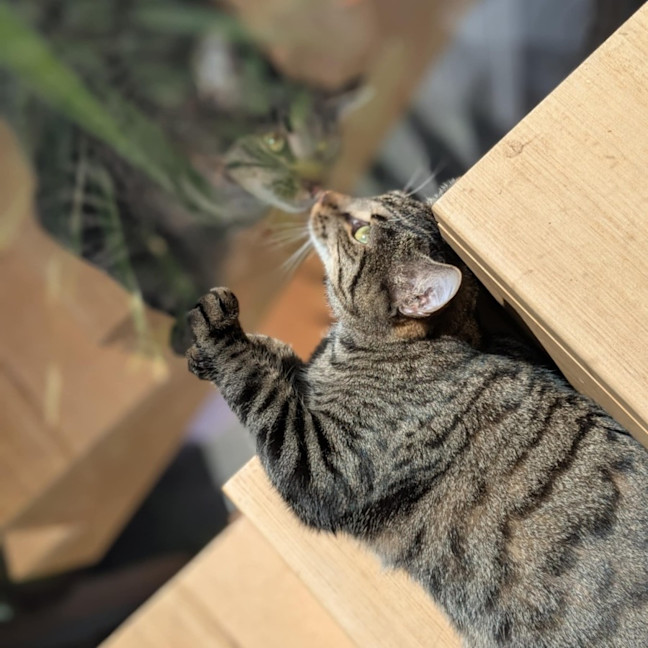 Photo of Eva   Located In Preston