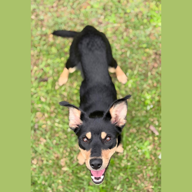 Photo of Kaia