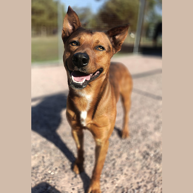 Photo of Denzil