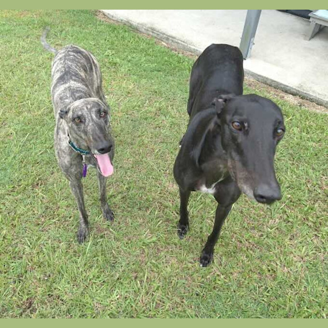 Photo of Rickie And Chippie