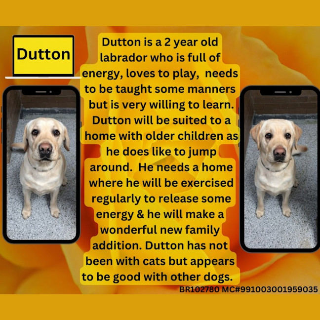 Photo of Dutton