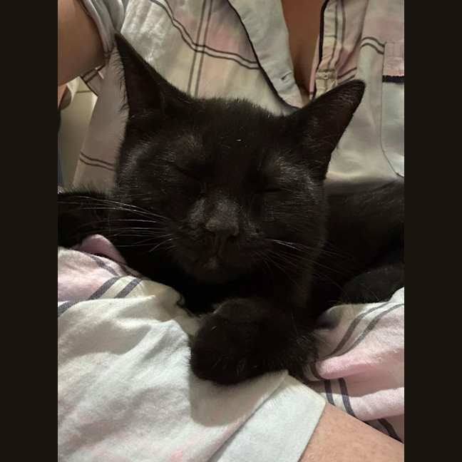 Photo of Monty