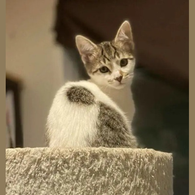 Photo of Edwina