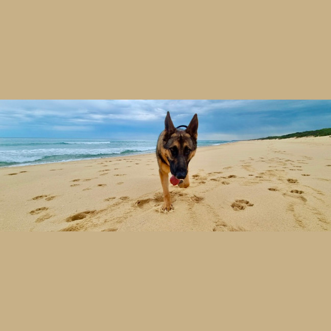 Photo of Mia
