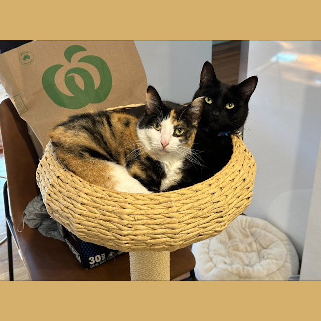 Photo of Maya & Morgan🌻🌼