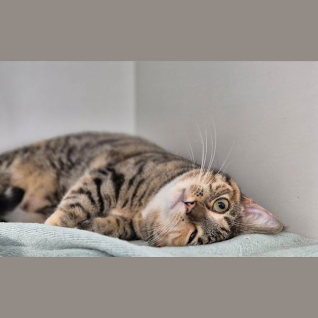 Photo of Matilda