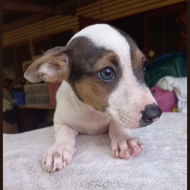 Photo of Kenzo