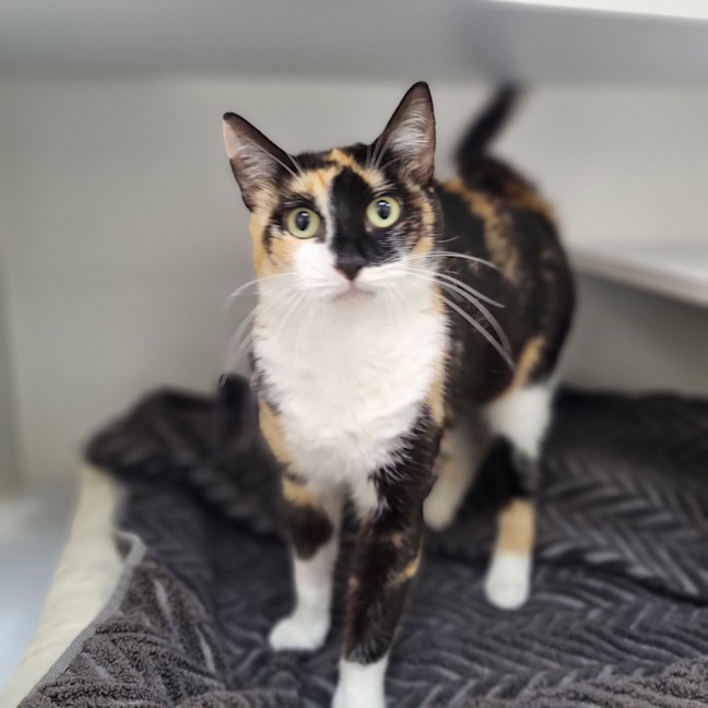 Photo of Delilah