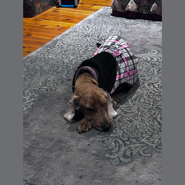 Photo of Maddie