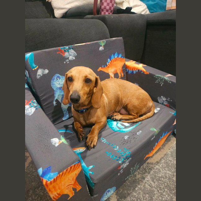 Photo of Honey