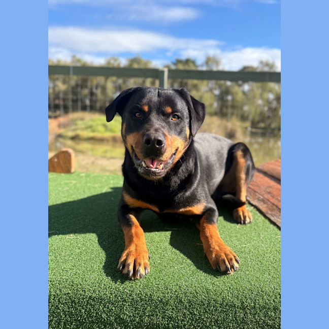 Photo of Maverick